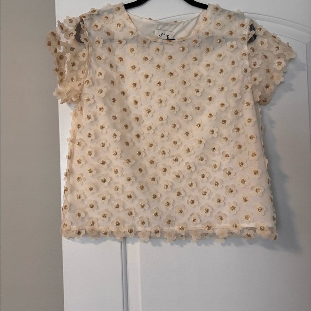 Floral Embroidered Sheer Top